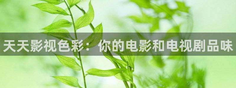 韓國影視大全：天天影視色彩：你的電影和電視劇品味
